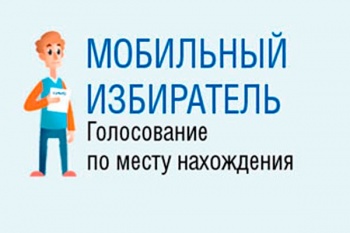 До 21 июня принимаются заявления от желающих проголосовать по месту нахождения