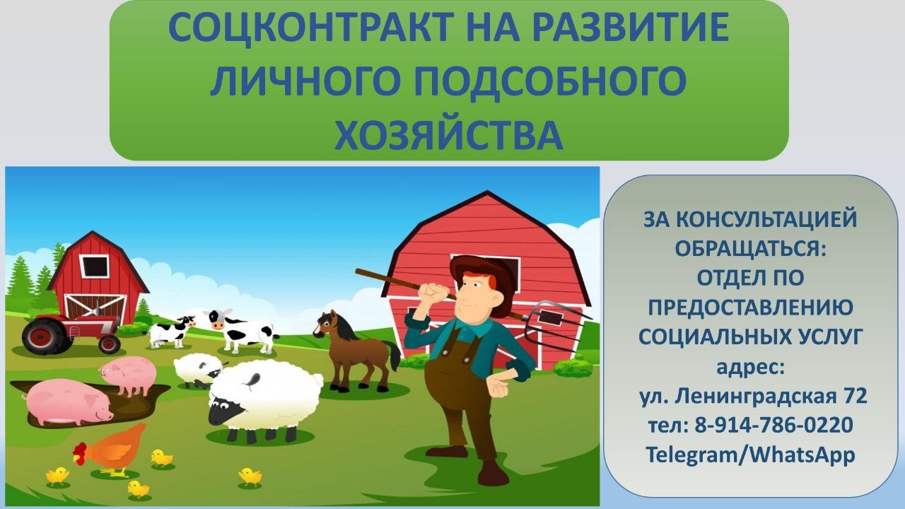 План развития личного подсобного хозяйства для социального контракта образец