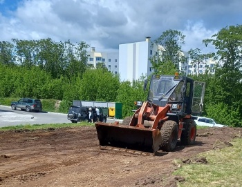 В рамках проекта «1000 дворов» в краевой столице благоустроят 12 территорий