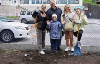 Аллею флота в центре города украсили молодые деревья